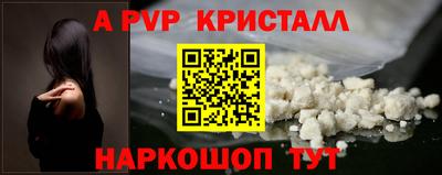 стафф Камышлов
