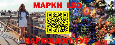 стафф Камышлов