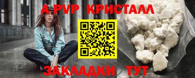 стафф Камышлов